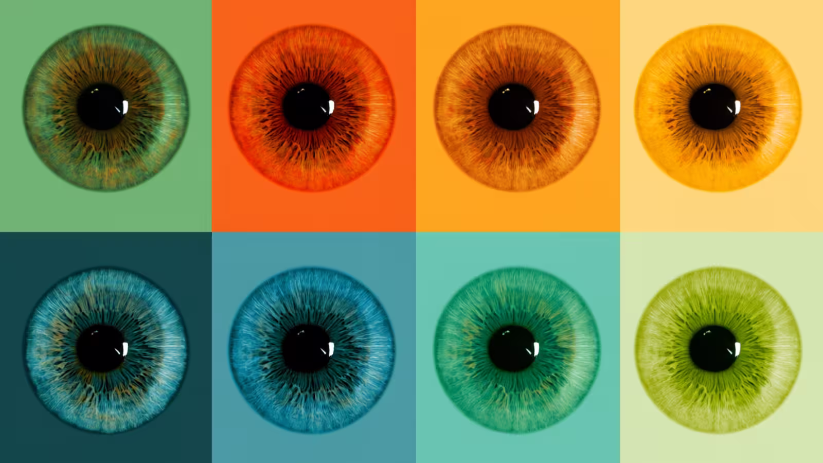 Comparação lado a lado de uma interface colorida e sua versão simulada com daltonismo