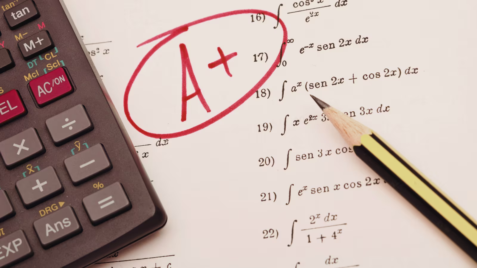 Grade Calculator: Calculate Your Current Grade, Final Exam Needs, and GPA